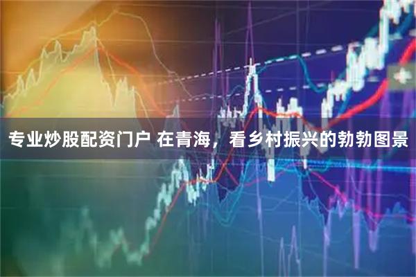 专业炒股配资门户 在青海，看乡村振兴的勃勃图景