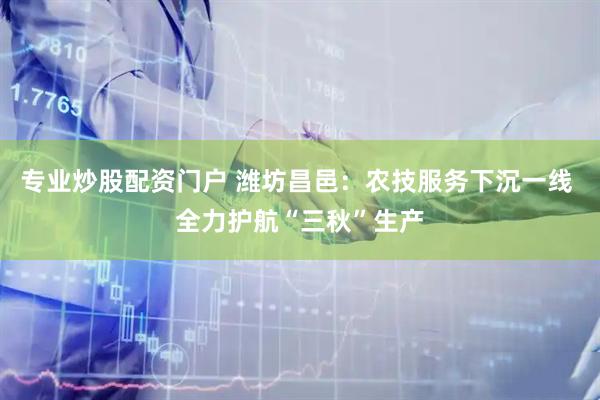 专业炒股配资门户 潍坊昌邑：农技服务下沉一线 全力护航“三秋”生产